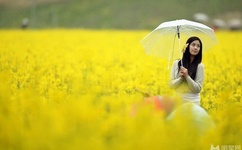 大佬又要崩坏了